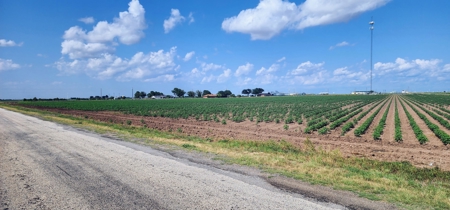Irrigated Farmland near San Angelo, Texas in Wall - image 3
