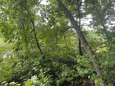 Welcome to the Wildlife Wonderland In VA - image 22