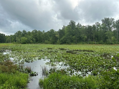 Welcome to the Wildlife Wonderland In VA - image 20
