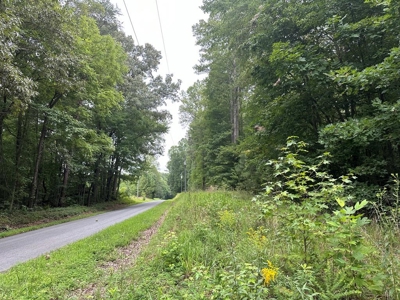 Welcome to the Wildlife Wonderland In VA - image 3