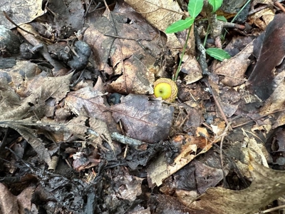 Welcome to the Wildlife Wonderland In VA - image 30