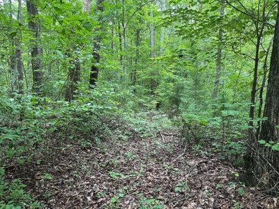 Welcome to the Wildlife Wonderland In VA - image 8