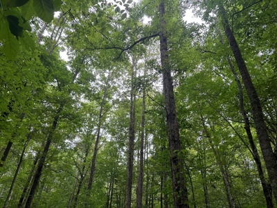 Welcome to the Wildlife Wonderland In VA - image 6