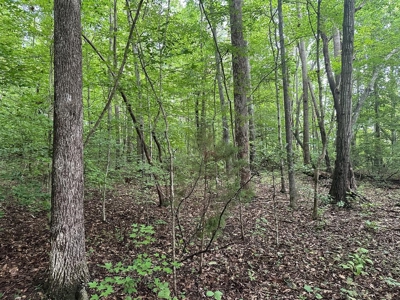 Welcome to the Wildlife Wonderland In VA - image 15