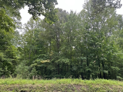 Welcome to the Wildlife Wonderland In VA - image 4