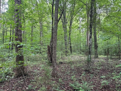 Welcome to the Wildlife Wonderland In VA - image 5
