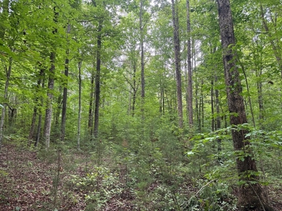 Welcome to the Wildlife Wonderland In VA - image 9