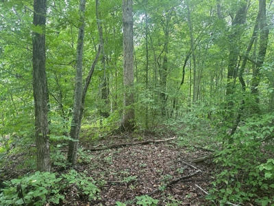 Welcome to the Wildlife Wonderland In VA - image 33