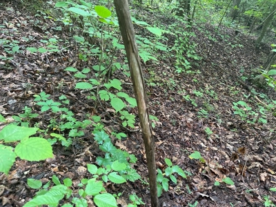 Welcome to the Wildlife Wonderland In VA - image 26