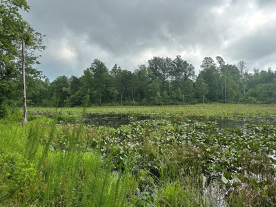 Welcome to the Wildlife Wonderland In VA - image 24