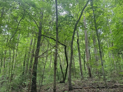 Welcome to the Wildlife Wonderland In VA - image 27