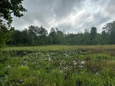 Welcome to the Wildlife Wonderland In VA - image 19