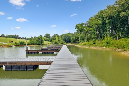 Lakefront Lot for Sale in White Pine, TN - image 19