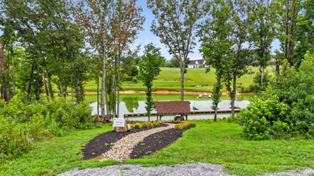Lakefront Lot for Sale in White Pine, TN - image 28
