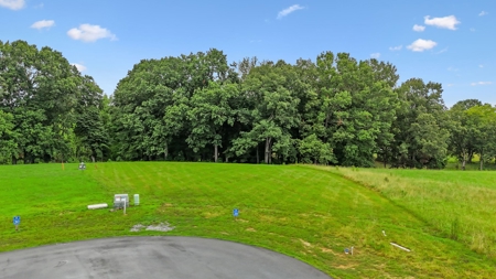 Lakefront Lot for Sale in White Pine, TN - image 20