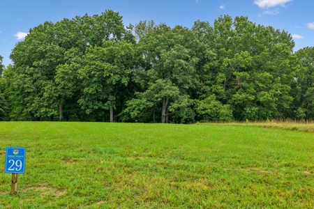 Lakefront Lot for Sale in White Pine, TN - image 2