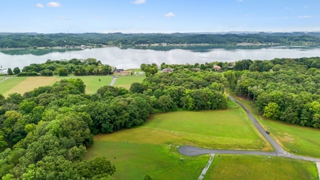 Lakefront Lot for Sale in White Pine, TN - image 40