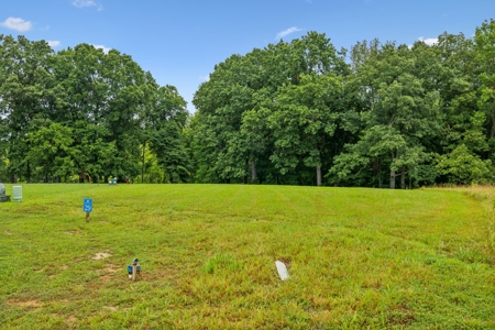 Lakefront Lot for Sale in White Pine, TN - image 4