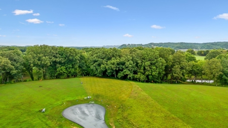 Lakefront Lot for Sale in White Pine, TN - image 22