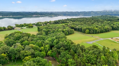 Lakefront Lot for Sale in White Pine, TN - image 42