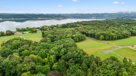 Lakefront Lot for Sale in White Pine, TN - image 41