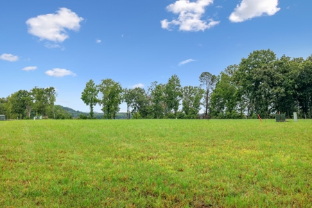 Lakefront Lot for Sale in White Pine, TN - image 12