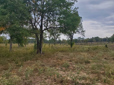 30 ± ACRES with HWY Frontage for Sale in Antlers, OK - image 2