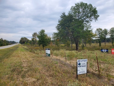 30 ± ACRES with HWY Frontage for Sale in Antlers, OK - image 3