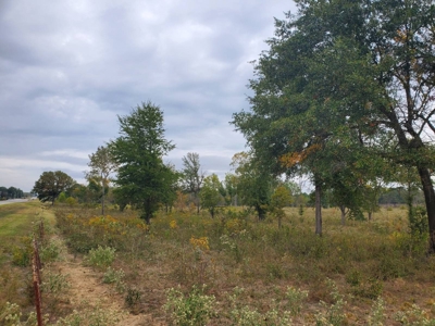 30 ± ACRES with HWY Frontage for Sale in Antlers, OK - image 1