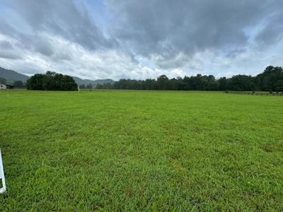River Lot in Burkesville, Kentucky - image 2