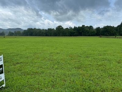 River Lot in Burkesville, Kentucky - image 1