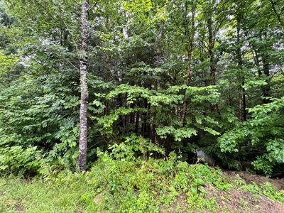 140 Acres, 6 Cabins, Pond, Brooks, and Outdoor Adventures - image 36