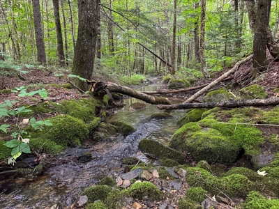 140 Acres, 6 Cabins, Pond, Brooks, and Outdoor Adventures - image 40