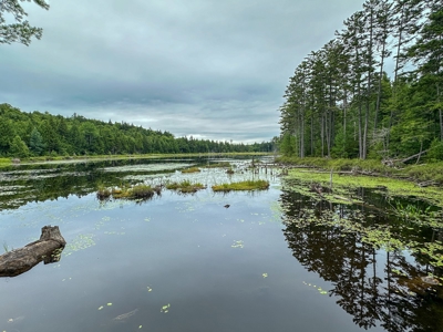 140 Acres, 6 Cabins, Pond, Brooks, and Outdoor Adventures - image 33
