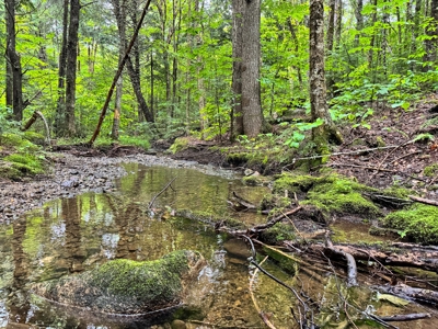 140 Acres, 6 Cabins, Pond, Brooks, and Outdoor Adventures - image 39