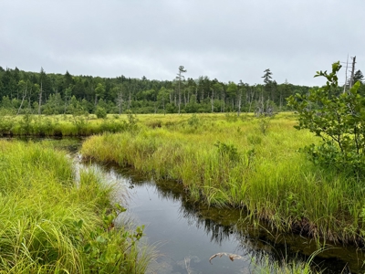140 Acres, 6 Cabins, Pond, Brooks, and Outdoor Adventures - image 32