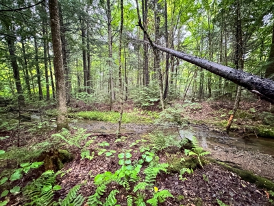 140 Acres, 6 Cabins, Pond, Brooks, and Outdoor Adventures - image 38