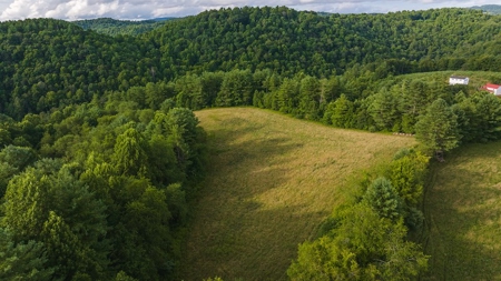 Recreational Land for Sale on Big Reed Island Creek - image 11