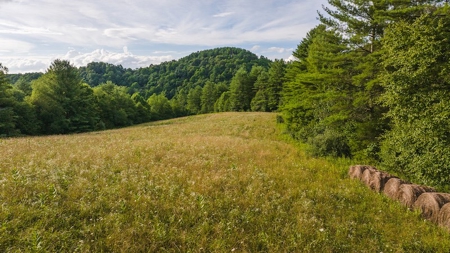 Recreational Land for Sale on Big Reed Island Creek - image 16