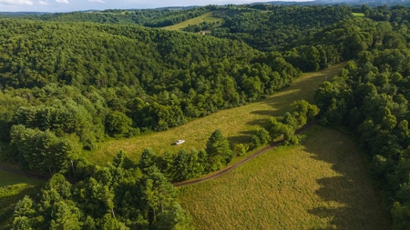 Recreational Land for Sale on Big Reed Island Creek - image 7