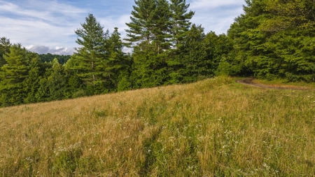 Recreational Land for Sale on Big Reed Island Creek - image 15