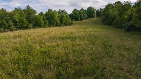 Recreational Land for Sale on Big Reed Island Creek - image 13