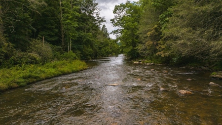 Recreational Land for Sale on Big Reed Island Creek - image 25