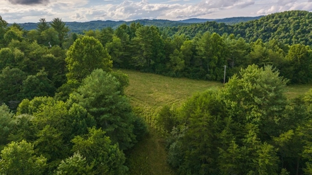 Recreational Land for Sale on Big Reed Island Creek - image 8