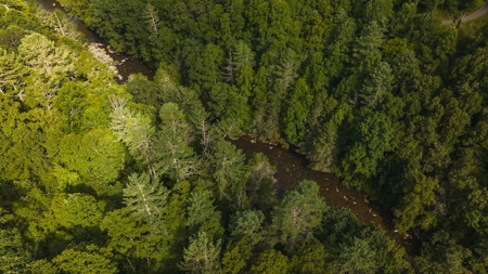 Recreational Land for Sale on Big Reed Island Creek - image 21