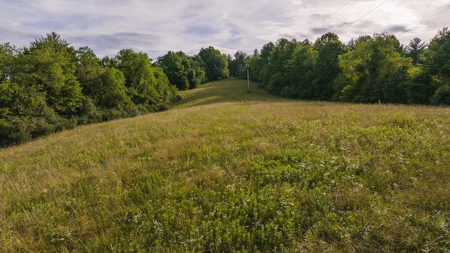 Recreational Land for Sale on Big Reed Island Creek - image 1