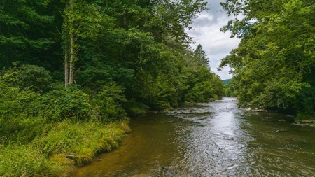 Recreational Land for Sale on Big Reed Island Creek - image 27