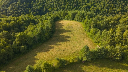 Recreational Land for Sale on Big Reed Island Creek - image 4