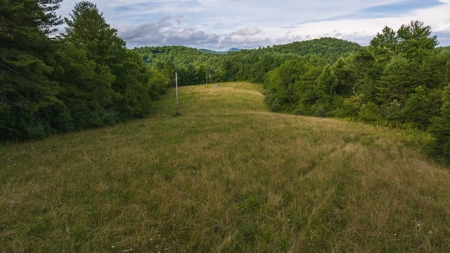 Recreational Land for Sale on Big Reed Island Creek - image 10