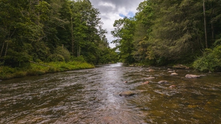 Recreational Land for Sale on Big Reed Island Creek - image 24